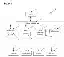 Fig. 02 - METHOD OF MANAGING A CHRONIC DISEASE