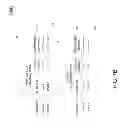 Fig. 09 - Continuously evolving symmetrical object profiles for online advertisement targeting
