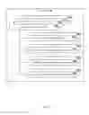 Fig. 07 - OPTIMIZING BIDDING WITH MULTIPLE CAMPAIGN TYPES