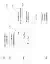 Fig. 15 - Managing Sponsored Content for Delivery to Mobile Communication Facilities