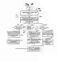 Fig. 19 - Electronic financial management and analysis system and related methods