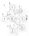Fig. 10 - SCORING MODEL METHODS AND APPARATUS