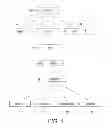 Fig. 02 - Determining OEM of rebranded device