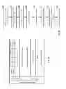 Fig. 09 - Conclusive write operation dispersed storage network frame