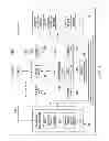 Fig. 02 - Time-locked network and nodes for exchanging secure data packets
