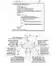 Fig. 09 - System and method for packet classification and internet protocol lookup in a network environment
