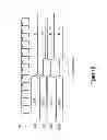 Fig. 07 - Apparatuses and methods for memory operations having variable latencies