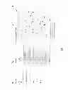 Fig. 06 - Partial vectorization compilation system