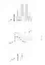 Fig. 08 - Partial vectorization compilation system