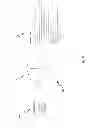 Fig. 09 - Partial vectorization compilation system