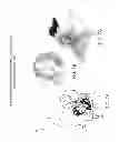 Fig. 08 - SYSTEM AND METHOD FOR THE CREATION OF AN E-ENHANCED MULTI-DIMENSIONAL PICTOSTORY USING PICTOOVERLAY TECHNOLOGY