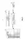 Fig. 11 - Ordering and presenting a set of data tuples