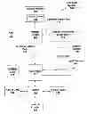Fig. 01 - Efficient memory virtualization in multi-threaded processing units