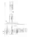 Fig. 10 - SYSTEM FOR CONTROLLING ACCESS AND DISTRIBUTION OF DIGITAL PROPERTY
