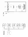 Fig. 22 - SYSTEM FOR CONTROLLING ACCESS AND DISTRIBUTION OF DIGITAL PROPERTY