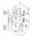 Fig. 03 - Security through metadata orchestrators