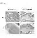 Fig. 05 - hnRNP A1 knockout animal model and use thereof