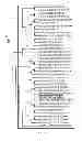 Fig. 02 - TRAIT IMPROVEMENT IN PLANTS EXPRESSING AP2 PROTEINS II