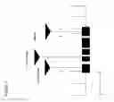 Fig. 02 - NUCLEOTIDE SEQUENCES MEDIATING  MALE FERTILITY AND METHOD OF USING SAME