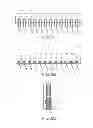 Fig. 03 - High throughout reproducible cantilever functionalization