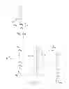 Fig. 08 - High throughout reproducible cantilever functionalization