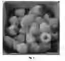 Fig. 02 - Raspberry plant named 'Double Gold'