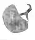 Fig. 06 - Military Helmet