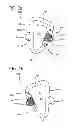 Fig. 04 - Caribiner