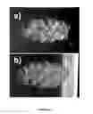 Fig. 08 - Three dimensional assembly of diamagnetic materials using magnetic levitation