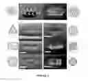 Fig. 09 - Three dimensional assembly of diamagnetic materials using magnetic levitation