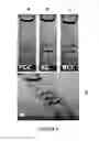 Fig. 10 - Three dimensional assembly of diamagnetic materials using magnetic levitation