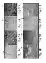 Fig. 06 - Electrode active surface pretreatment