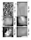 Fig. 08 - Electrode active surface pretreatment