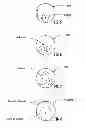 Fig. 03 - THERMAL CONTRACTION COMPENSATION FOR SUPERCONDUCTING AND CRYO-RESISTIVE CABLES
