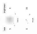 Fig. 06 - Robotic laser pointer apparatus and methods