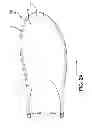 Fig. 06 - Footwear with sliding cap