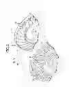 Fig. 03 - Torque converter stator structure
