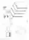 Fig. 12 - Electronic detonator system