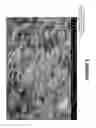 Fig. 06 - Composition for construction materials manufacturing and the method of its production
