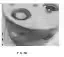 Fig. 07 - VIBRATORY TOY THAT DETERS TIPPING OVER YET SELF-RIGHTS ITSELF WITHIN A CONTAINER