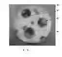 Fig. 08 - VIBRATORY TOY THAT DETERS TIPPING OVER YET SELF-RIGHTS ITSELF WITHIN A CONTAINER