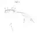 Fig. 10 - Absorbent article for pet