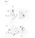 Fig. 10 - Balancer device for parallel twin cylinder internal combustion engine