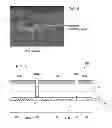 Fig. 04 - THIN FILM SOLAR CELL AND METHOD FOR MANUFACTURING SAME