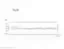 Fig. 08 - Solar cell element