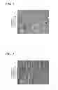 Fig. 02 - High-strength aluminum alloy material and process for producing the same