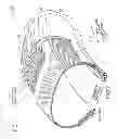 Fig. 02 - TIRE