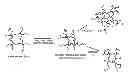 Fig. 01 - Functionalizing cellulosic and lignocellulosic materials