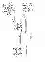 Fig. 02 - Functionalizing cellulosic and lignocellulosic materials