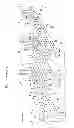 Fig. 02 - SAGD oil recovery method utilizing multi-lateral production wells and/or common flow direction